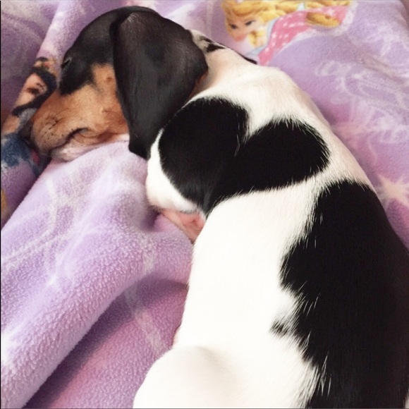 Meet the Posher Other - Meet your Posher, Ella